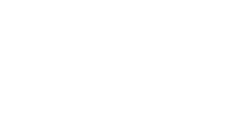 inpura logo neg